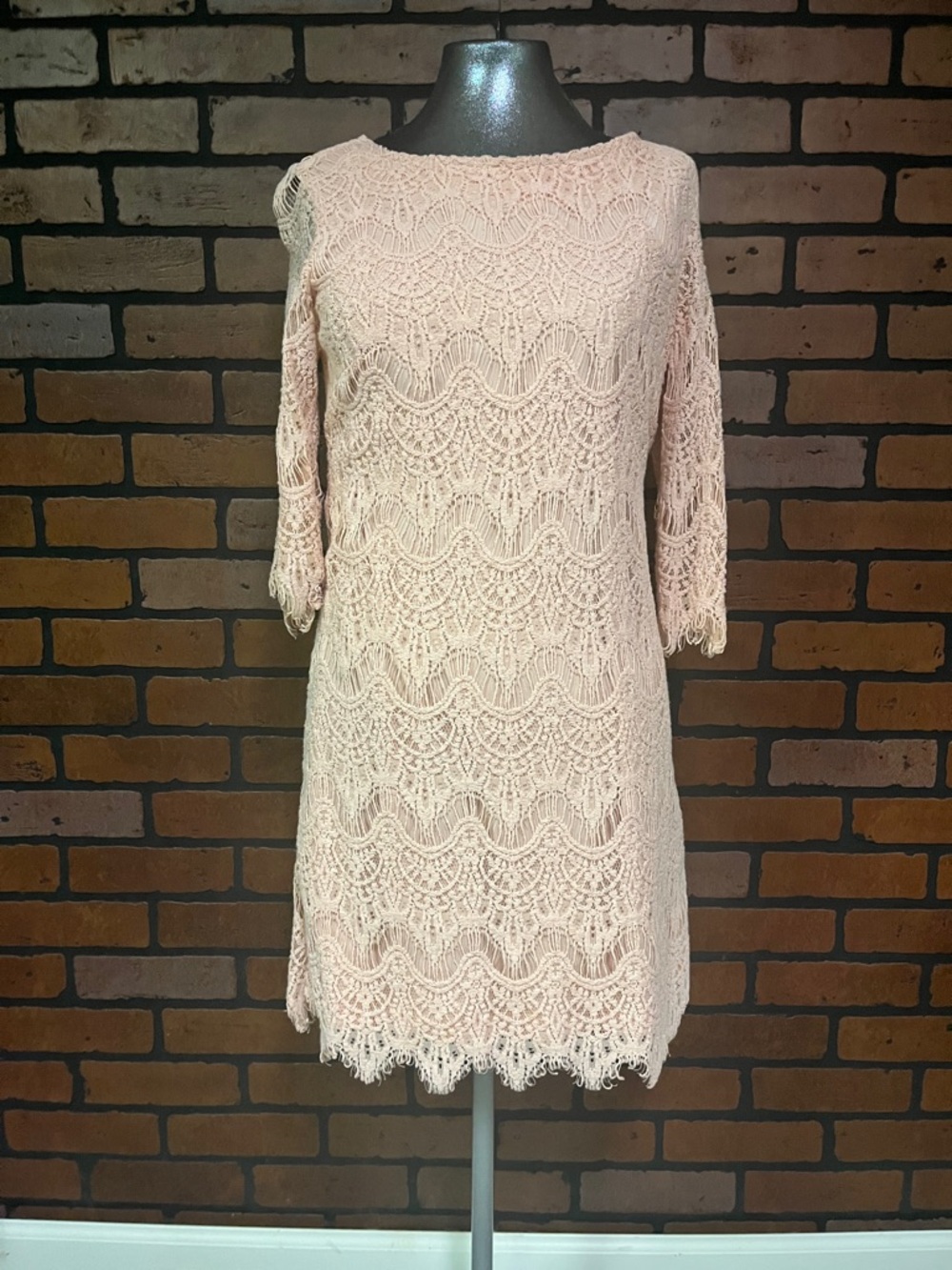 Ronni Nicole Blush Pink Crochet Midi Dress